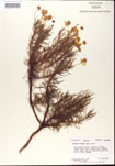 000001142-thumbnail.jpg