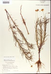 000001143-thumbnail.jpg