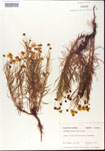 000001144-thumbnail.jpg
