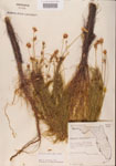 000001147-thumbnail.jpg
