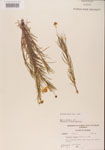 000001149-thumbnail.jpg