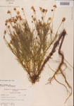 000001150-thumbnail.jpg