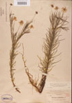 000001151-thumbnail.jpg