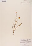 000001152-thumbnail.jpg