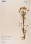 000001153-thumbnail.jpg