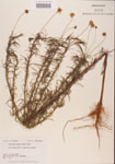 000001154-thumbnail.jpg