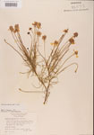 000001155-thumbnail.jpg