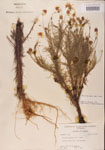 000001156-thumbnail.jpg