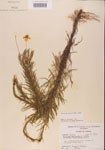 000001157-thumbnail.jpg