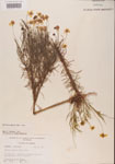 000001158-thumbnail.jpg