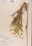 000001159-thumbnail.jpg