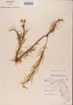 000001160-thumbnail.jpg