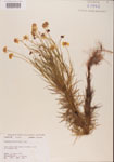 000001162-thumbnail.jpg