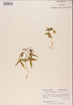 000001164-thumbnail.jpg