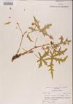 000001169-thumbnail.jpg
