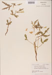000001170-thumbnail.jpg
