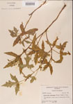 000001171-thumbnail.jpg
