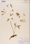 000001175-thumbnail.jpg