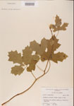 000001176-thumbnail.jpg