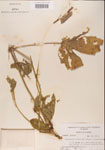 000001177-thumbnail.jpg