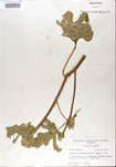 000001180-thumbnail.jpg