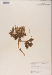 000001182-thumbnail.jpg