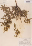 000001187-thumbnail.jpg