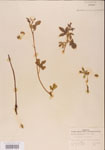 000001188-thumbnail.jpg