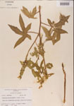 000001189-thumbnail.jpg