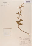 000001190-thumbnail.jpg