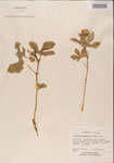 000001191-thumbnail.jpg