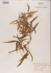 000001192-thumbnail.jpg