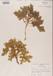 000001193-thumbnail.jpg