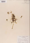 000001194-thumbnail.jpg