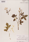 000001197-thumbnail.jpg