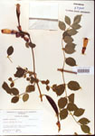 000001198-thumbnail.jpg