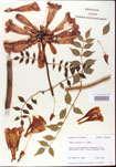 000001199-thumbnail.jpg