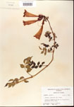 000001205-thumbnail.jpg