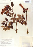 000001207-thumbnail.jpg