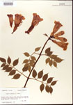 000001208-thumbnail.jpg
