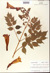 000001209-thumbnail.jpg