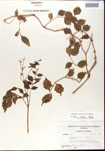 000001210-thumbnail.jpg