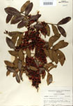 000001213-thumbnail.jpg