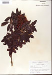 000001216-thumbnail.jpg