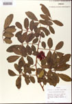 000001225-thumbnail.jpg