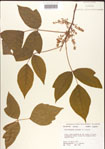 000001251-thumbnail.jpg