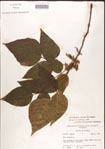 000001259-thumbnail.jpg