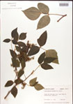 000001260-thumbnail.jpg