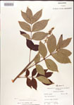 000001269-thumbnail.jpg