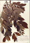 000001270-thumbnail.jpg